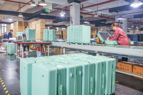 國(guó)際旅行勞務(wù)品牌 永州2023年度特色勞務(wù)新亮點(diǎn)